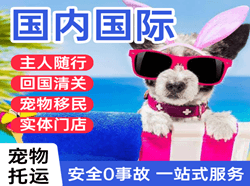 临沂机场邮寄国际宠物托运 【国